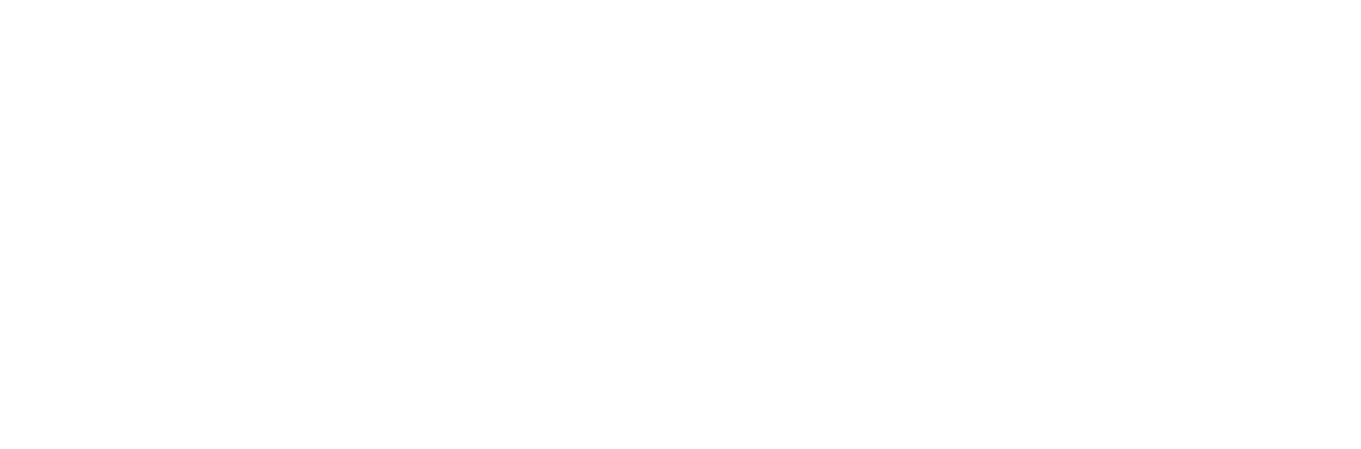 개를 훔치는 완벽한 방법